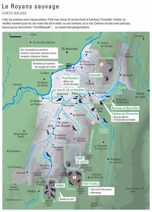 Royans-Vercors_vie-sauvage_2010.jpg